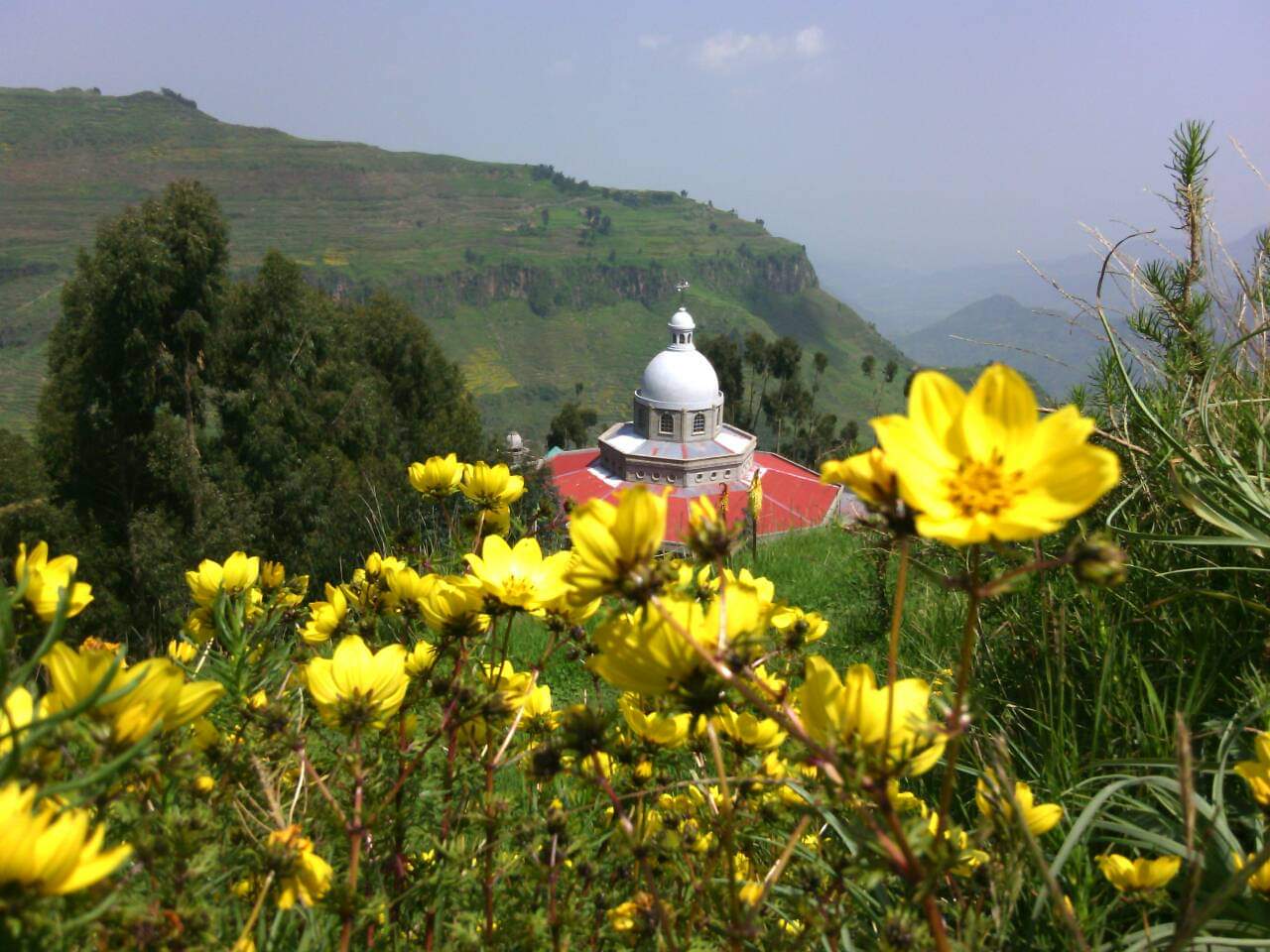 Sanctuary garden